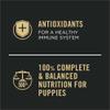 pro-plan-complete-and-balanced-wet-puppy-food-variety-pack-with-beef-rice-chicken-rice-flavors