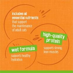 includes all essential nutrients that support the maintenance of adult cats