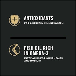 antioxidantes, aceite de pescado rico en omega 3