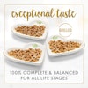 100% complete & balanced nutrition for adult cats