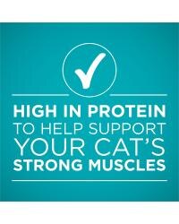 rico en proteínas