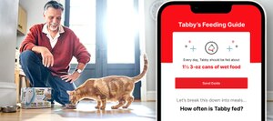 Man sitting chair with cat eating Fancy Feast and a phone with the Pet Feeding Guide app displayed
