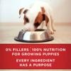 po dog wet pls pup lmb fb4