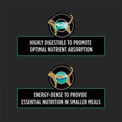 Energy-dense to provide essential nutrition in smaller meals