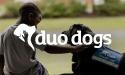 Duo Dogs