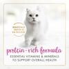 Protein-rich formula
