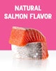 natural salmon flavor