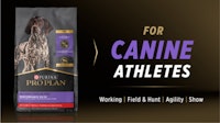 For canine athletes
