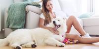 woman sitting on the floor with large white fluffy dog