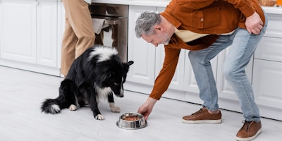 man bending down to give dog food in kitchen
