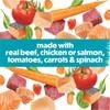 made with real beef, chicken or salmon, tomatoes, carrots and spinach