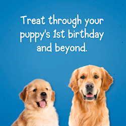 Puppy Chow Training Treats -birthday