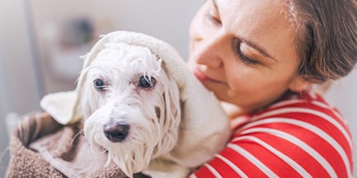 woman holding a white dog wrapped in a towel