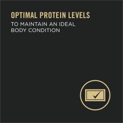 optimal protein levels to maintain an idea body condition