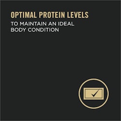 optimal protein levels to maintain an idea body condition