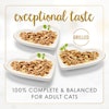 Fancy feast cheddar delights variety pack cat food