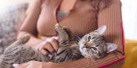 woman petting her cat