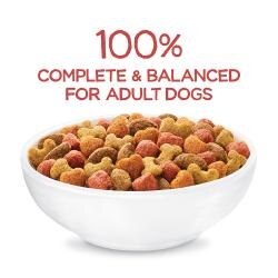 100 percent complete and balanced for adult dogs