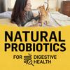 Beyond Simply Natural Probiotics