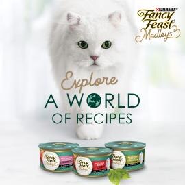 Mix Fancy Feast