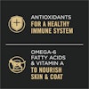 Antioxidants For A Healthy Immune System