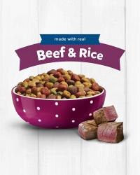 Beef and Rice bowl of kibble