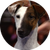Gracie