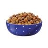 dc large breed kibble