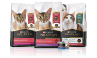 Pro Plan Sensitive Skin & Stomach Cat Food