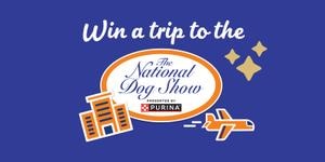 Win a Trip to See the Top Dogs Live!