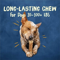 Long-lasting chew for dogs 20-100+ lbs