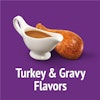 Turkey & Gravy Flavors