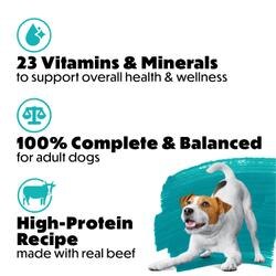 Protein rich recipes