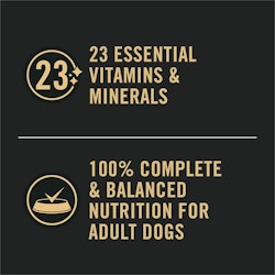 23 Essential Vitamins & Minerals