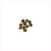 Dry Dog Food