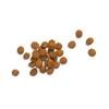 Pieces of food