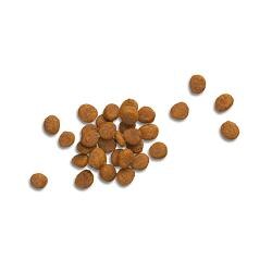 Pieces of food