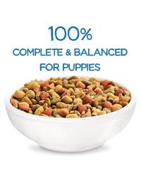 beneful Sano cachorro seco comida perro completo equilibrado