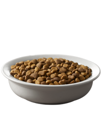 pro-plan-savor-adult-chicken-rice-kibble