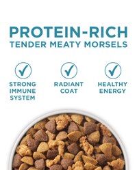 bocadillos de carne tierna ricos en proteínas