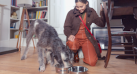 A woman and a dog looking at food in bowls