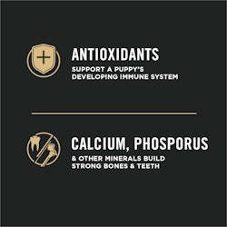 antioxidants, calcium, phosphorus