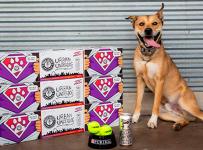 Pila de cerveza de Urban Chestnut junto a un perro marrón sentado y sonriendo