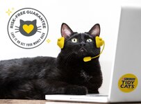 Black cat pretending they are a customer service agent with a headset and laptop