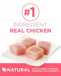 Number 1 ingredient real chicken 