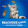 Beachside Crunch. A party-starting mix of yum! 