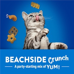 Beachside Crunch. A party-starting mix of yum! 