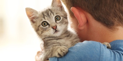 un gatito en brazos de un niño