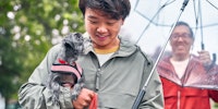 man with umbrella looking down and smiling at a small grey dog