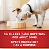 0% fillers, 100% nutrition for adult dogs
